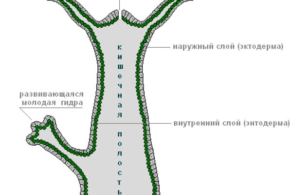 Кракен сайт 16