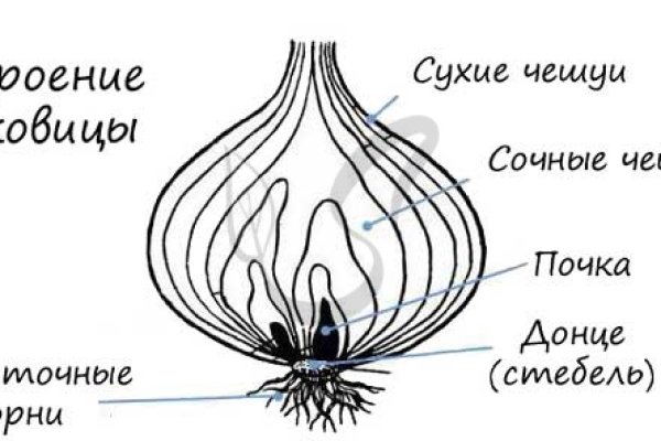 Kraken tor ссылка kraken014 com